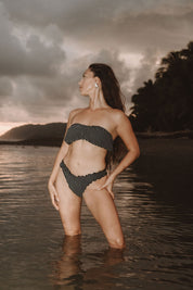 Venus Bottom