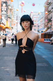 Sasha Dress